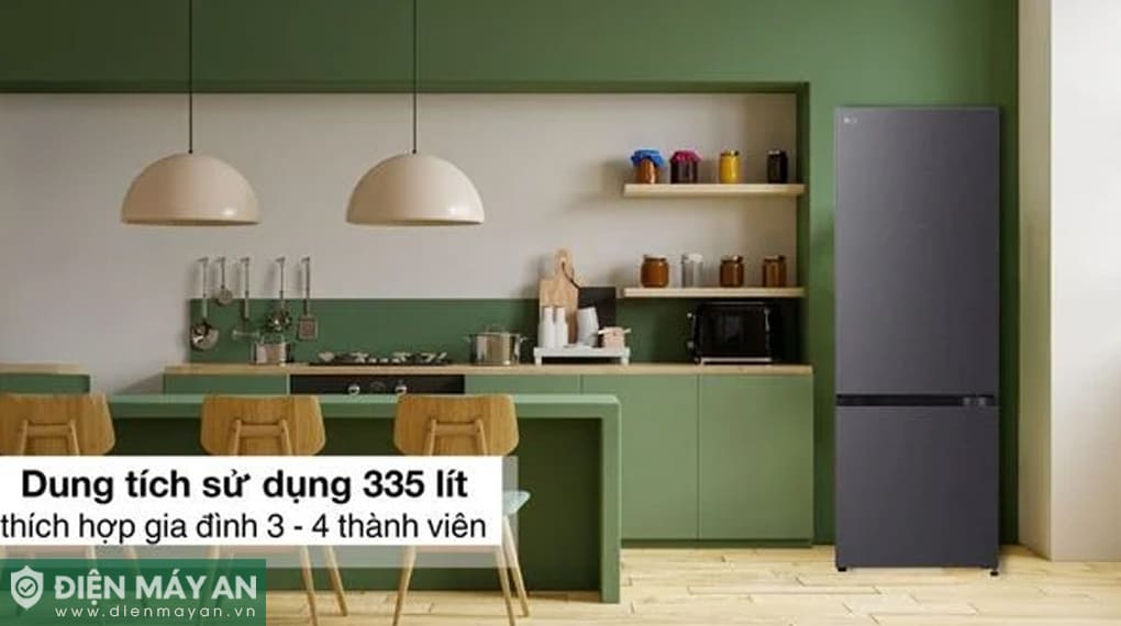 Tủ lạnh LG Inverter 335 lít LTB33BLMA